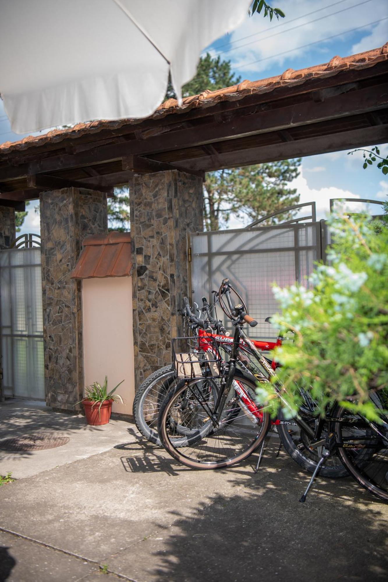 Guesthouse Kristina Palics Kültér fotó